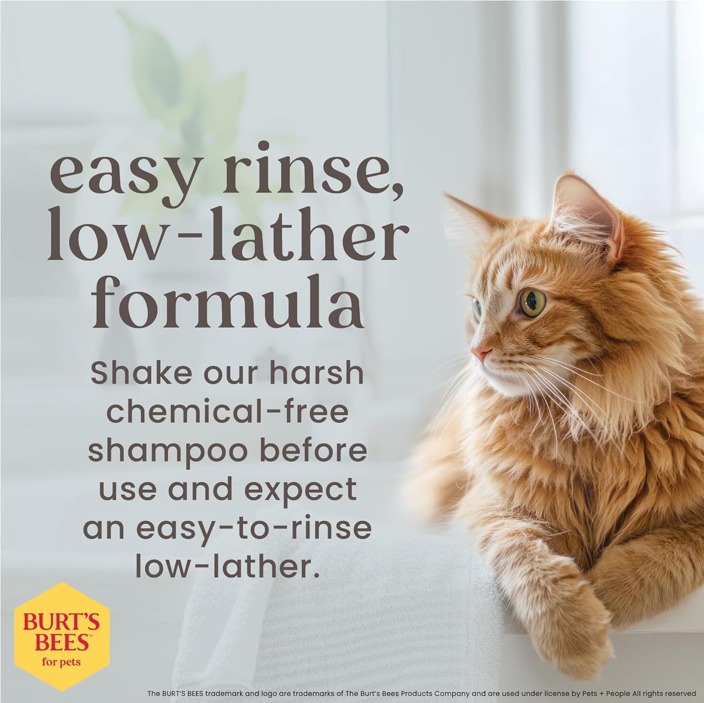 Burts Bees for Pets Hypoallergenic Cat Shampoo, Unscented, 10 Fl Oz, 2-Pk