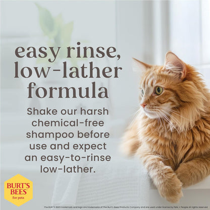 Burts Bees for Pets Hypoallergenic Cat Shampoo, Unscented, 10 Fl Oz, 2-Pk