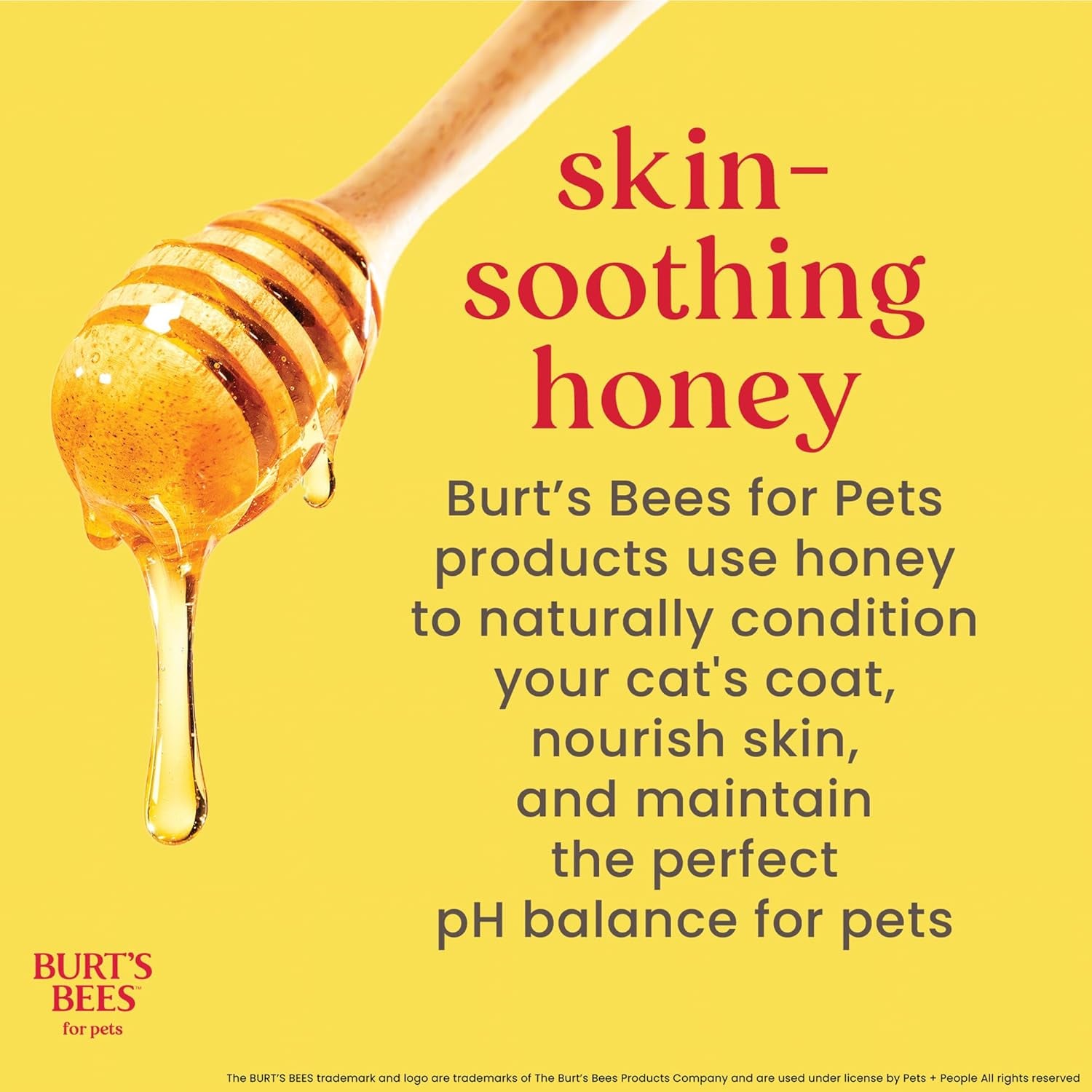 Burts Bees for Pets Hypoallergenic Cat Shampoo, Unscented, 10 Fl Oz, 2-Pk