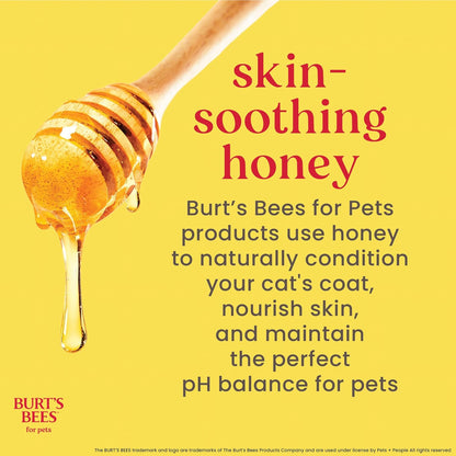 Burts Bees for Pets Hypoallergenic Cat Shampoo, Unscented, 10 Fl Oz, 2-Pk